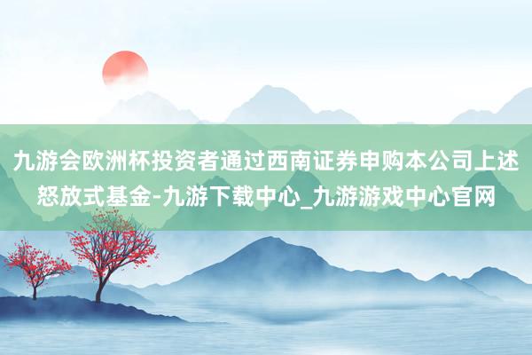 九游会欧洲杯投资者通过西南证券申购本公司上述怒放式基金-九游下载中心_九游游戏中心官网