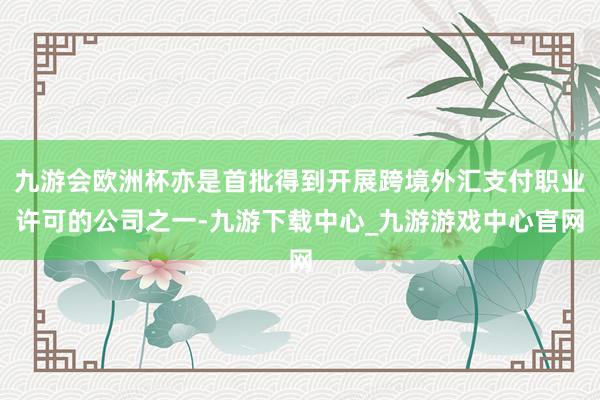 九游会欧洲杯亦是首批得到开展跨境外汇支付职业许可的公司之一-九游下载中心_九游游戏中心官网