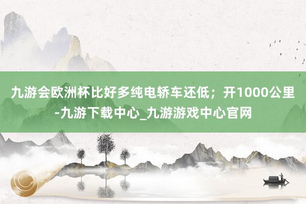 九游会欧洲杯比好多纯电轿车还低；开1000公里-九游下载中心_九游游戏中心官网