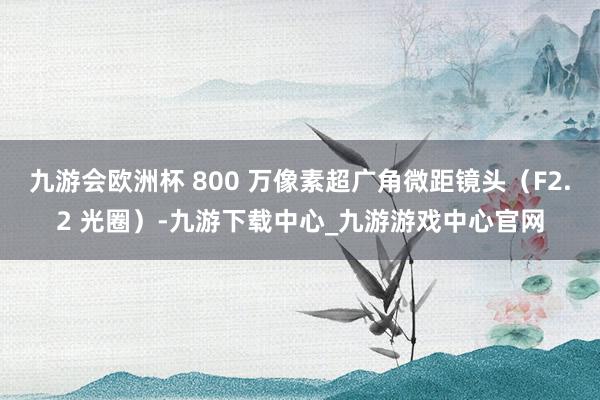 九游会欧洲杯 800 万像素超广角微距镜头（F2.2 光圈）-九游下载中心_九游游戏中心官网